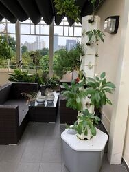 The Twins (D10), Apartment #536929881